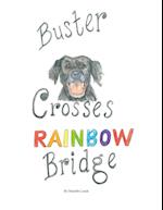 Buster Crosses Rainbow Bridge 