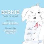 Bernie Goes to School 
