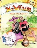 The Adventures of Mr Wilson Meet the Family 