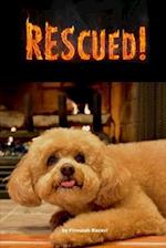 Rescued!