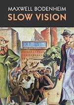 Slow Vision 