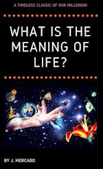 What is the Meaning of Life? 