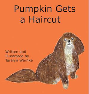 Pumpkin Gets a Haircut