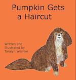 Pumpkin Gets a Haircut 