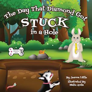 The Day That Diamond Got Stuck in a Hole