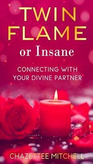 Twin Flame Or Insane