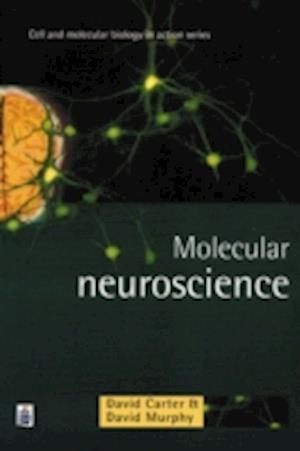 Molecular Neuroscience
