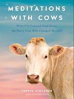 Meditations with Cows