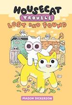 Housecat Trouble: Lost and Found