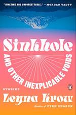 Sinkhole, and Other Inexplicable Voids