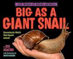 Big as a Giant Snail