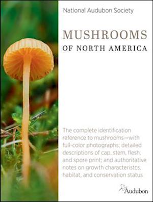 National Audubon Society Mushrooms of North America