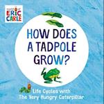 How Does a Tadpole Grow?