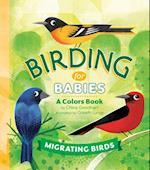 Birding for Babies