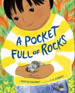 A Pocket Full of Rocks