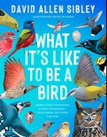 What It's Like to Be a Bird (Adapted for Young Readers)