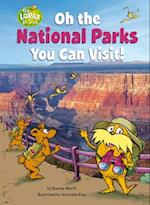 Oh Say Can You See? America's National Parks