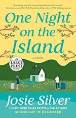 One Night on the Island