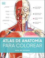 Atlas de Anatomía Para Colorear (the Human Body Coloring Book)