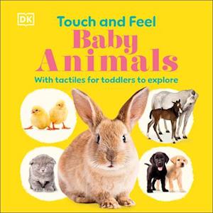 Touch and Feel Baby Animals