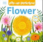 Pop-Up Peekaboo! Flower