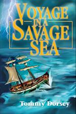 Voyage in a Savage Sea