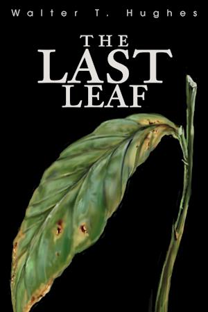 The Last Leaf