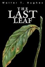 The Last Leaf