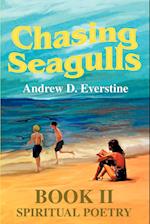 Chasing Seagulls