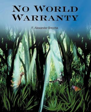 No World Warranty