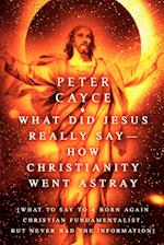 What Did Jesus Really Say-How Christianity Went Astray