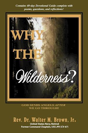 Why the Wilderness?