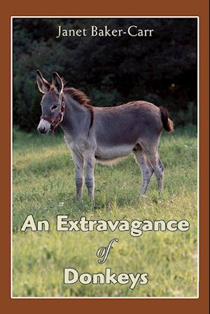 An Extravagance of Donkeys