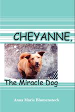 Cheyanne, The Miracle Dog