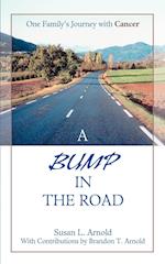 A Bump in the Road