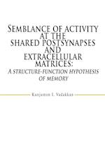 Semblance of activity at the shared postsynapses and extracellular matrices