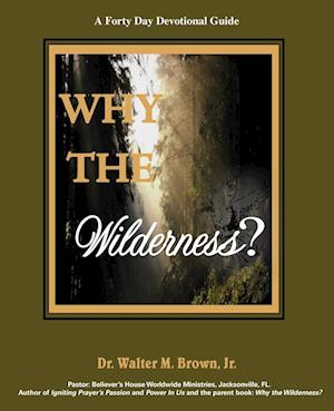 Why the Wilderness