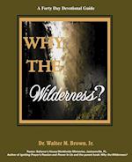 Why the Wilderness