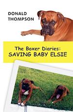 The Boxer Diaries