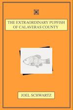 The Extraordinary Pupfish of Calaveras County