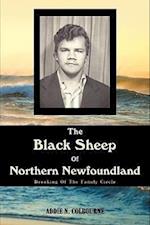 The Black Sheep Of Northern Newfoundland