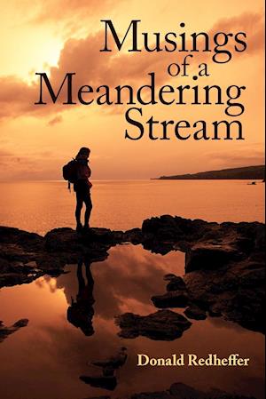 Musings of a Meandering Stream