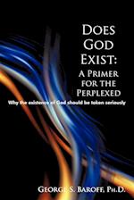 Does God Exist: A Primer for the Perplexed: Why the existence God should be taken seriously 