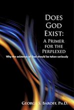 Does God Exist: a Primer for the Perplexed