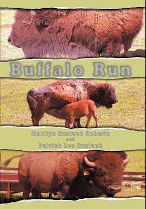 Buffalo Run