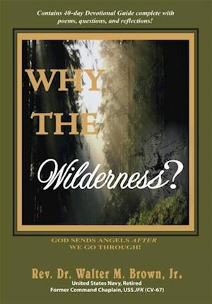 Why the Wilderness?