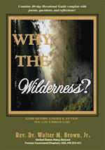 Why the Wilderness?