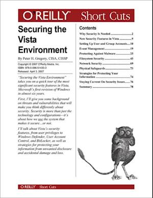 Securing the Vista Environment