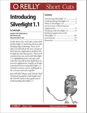 Introducing Silverlight 1.1