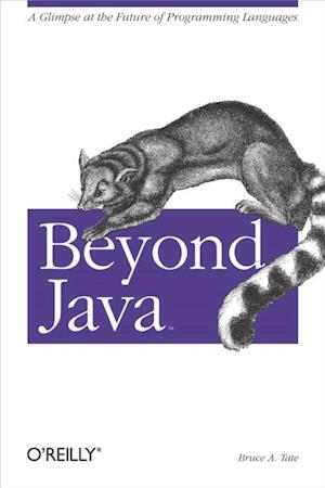 Beyond Java